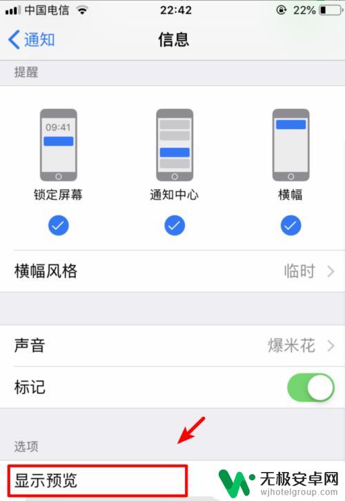 苹果手机短信不显示内容怎么设置方法 iPhone手机如何设置短信不显示内容