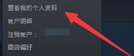 手机steam怎么公开个人资料 手机Steam隐私设置公开方法