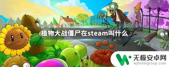 steam植物大战僵尸年度版怎么下载 植物大战僵尸steam版叫什么