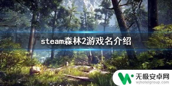 森林2森林之子在steam叫啥 steam森林之子游戏评价