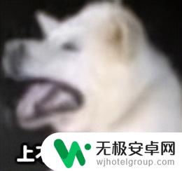 千万不要升级到iOS 26!