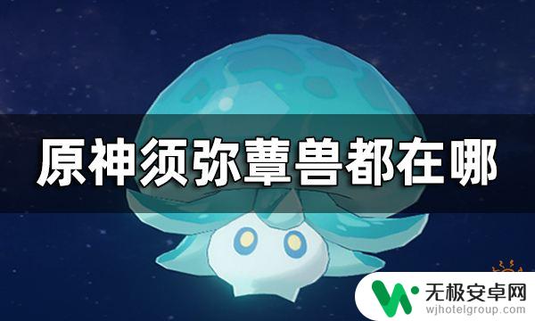 原神蘑菇怪叫什么名字 原神蕈兽位置路线图