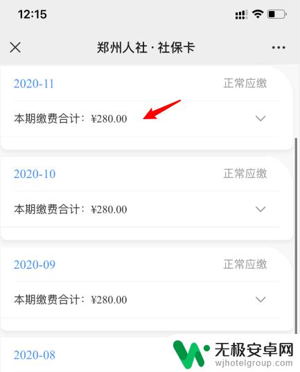 养老怎么在手机上查记录 如何在手机上快速查询社保缴费记录