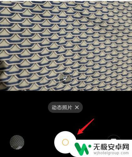 vivo手机动态照片怎么拍 vivo手机动态照片拍摄技巧
