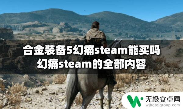 幻痛steam 合金装备5幻痛steam版购买