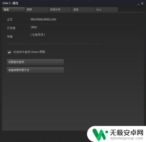 steam启动设置 如何在Steam中设置游戏启动项