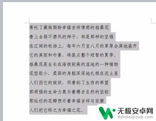 手机wps怎么对齐多排文字 WPS多排文字怎么对齐