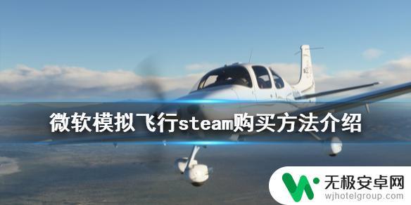 微软2020模拟飞行steam steam购买《微软模拟飞行2020》的方法