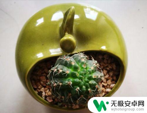 手机白平衡怎么玩 如何设置手机白平衡