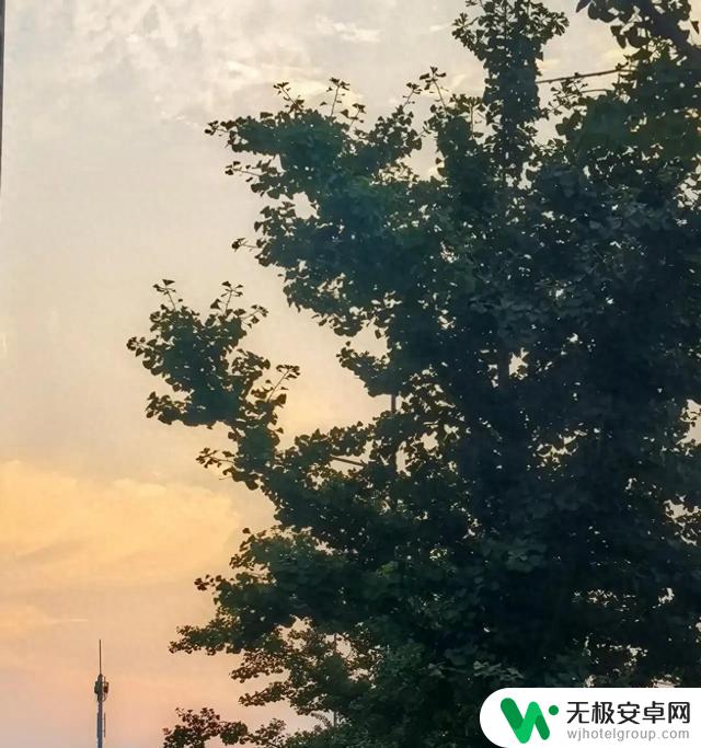 如何合理搭配老将与新将，调整三大球阵容