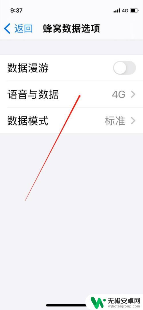 苹果手机在哪里调5g iPhone手机如何设置开启5G信号