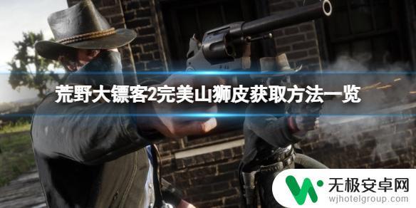 荒野大镖客2完美山狮打法 完美山狮皮在荒野大镖客2中如何收集