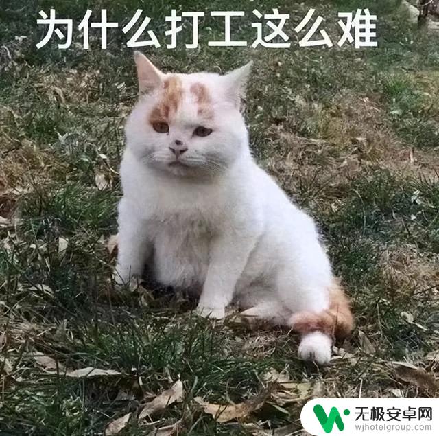 在原神火神生日当天，鸣潮上线了自己的“火神”，难道是巧合？