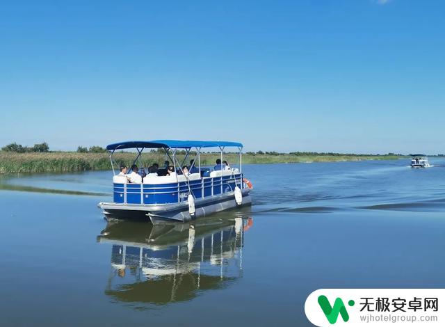 黄河口七夕游览攻略:在湿地观鸟,与落日共赏,共度浪漫之夜