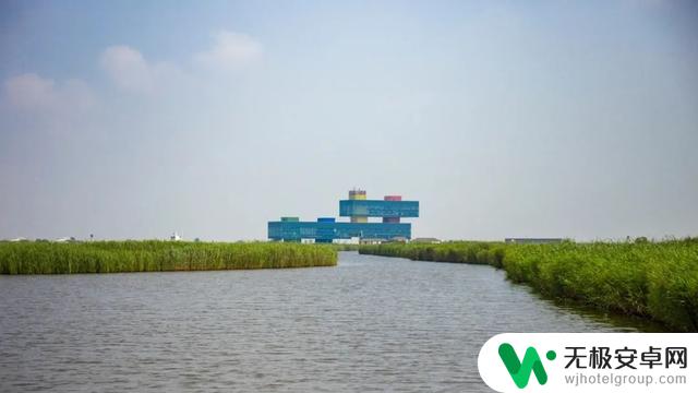 黄河口七夕游览攻略:在湿地观鸟,与落日共赏,共度浪漫之夜