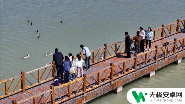 黄河口七夕游览攻略:在湿地观鸟,与落日共赏,共度浪漫之夜
