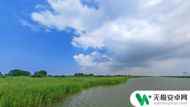 黄河口七夕游览攻略:在湿地观鸟,与落日共赏,共度浪漫之夜