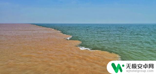 黄河口七夕游览攻略:在湿地观鸟,与落日共赏,共度浪漫之夜